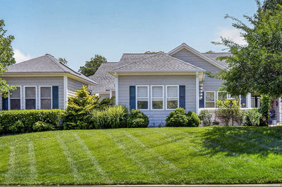 Single-story blue house with white trim, large windows, and a well-manicured lawn. Trees and shrubs line the front yard, and a paved street is visible in the foreground under a clear blue sky.