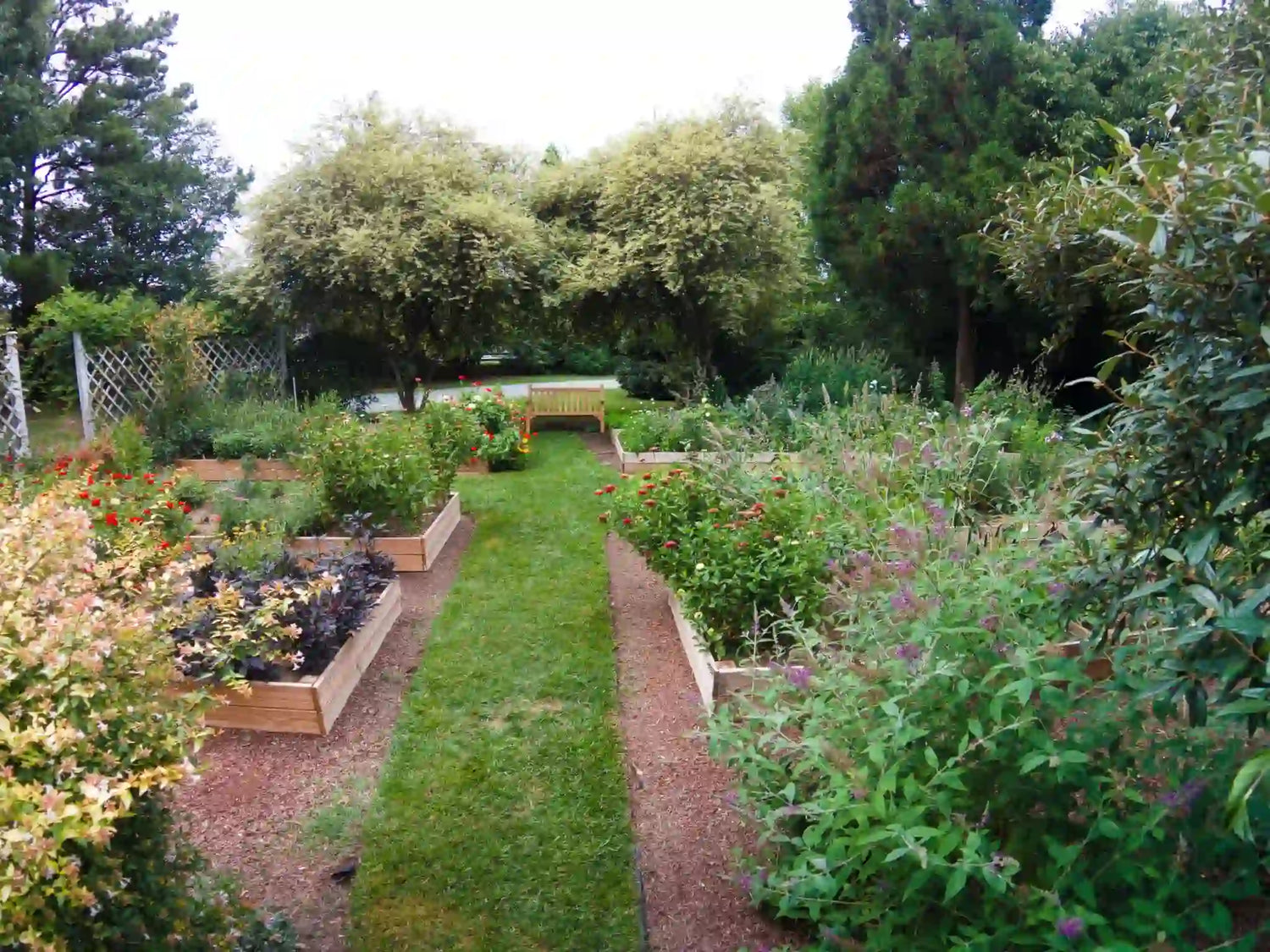 A lush garden with raised beds filled with various plants and flowers, bordered by a grass path and mulch. Trees and greenery surround the area, with a wooden bench visible in the background under a tree.