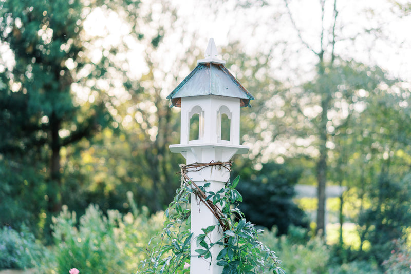 A white birdhouse with a blue roof is mounted on a post, wrapped with leafy vines. The background is a lush, sunlit garden with green trees and blurred foliage.