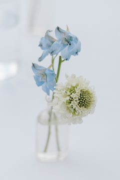 A small glass vase holds delicate pale blue flowers and a single white flower with green center, set against a soft, light background.