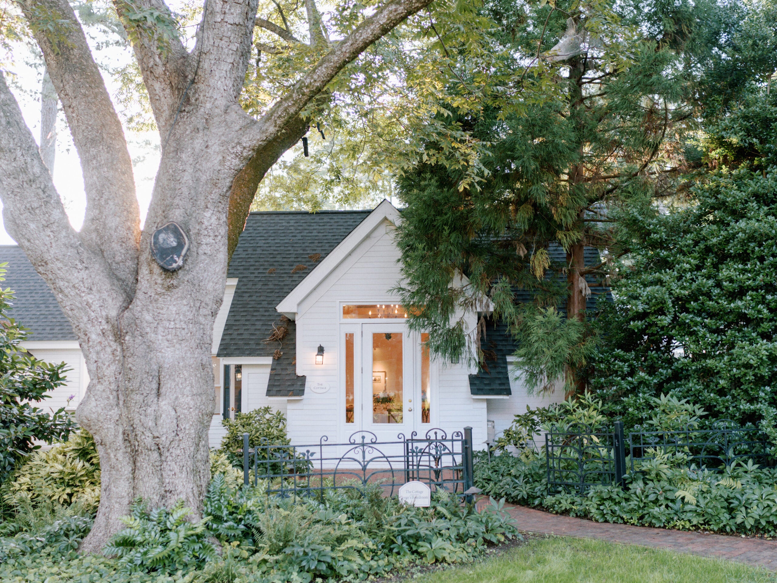 A charming white cottage with a dark roof sits behind a large tree and lush green plants, surrounded by a black iron fence and garden pathway under dappled sunlight.