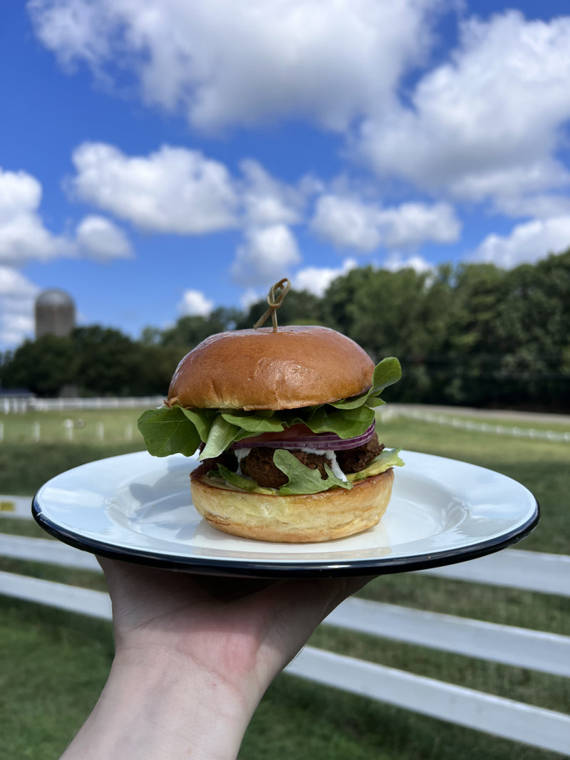 A hand holds a white plate with a burger topped with lettuce, tomato, and onion. The background shows a fence, green field, trees, and a cloudy blue sky.