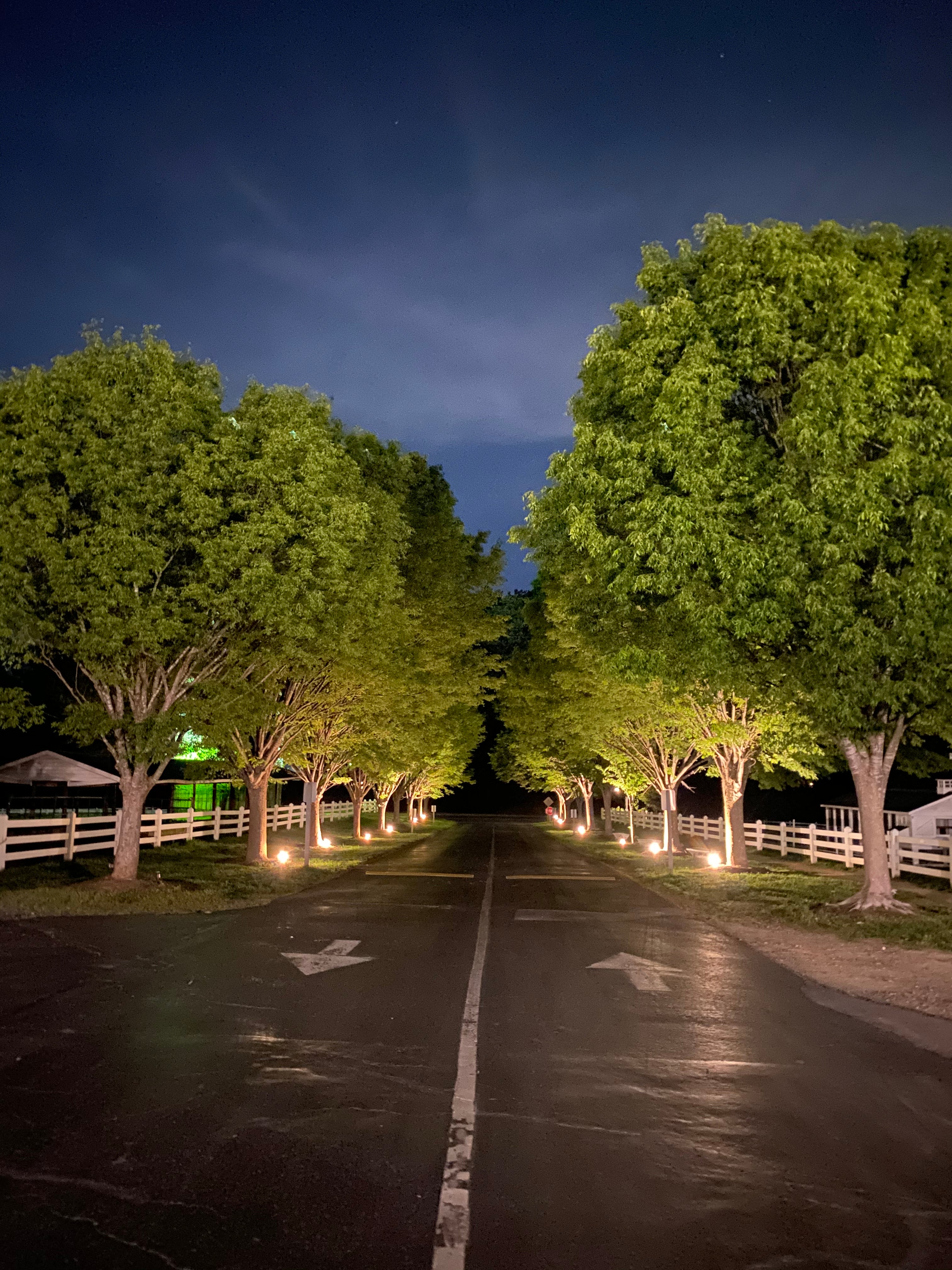 A tree-lined road at night, illuminated by ground lights, with white fences on both sides and two white arrows painted on the pavement pointing in opposite directions. The sky is dark with a hint of clouds.