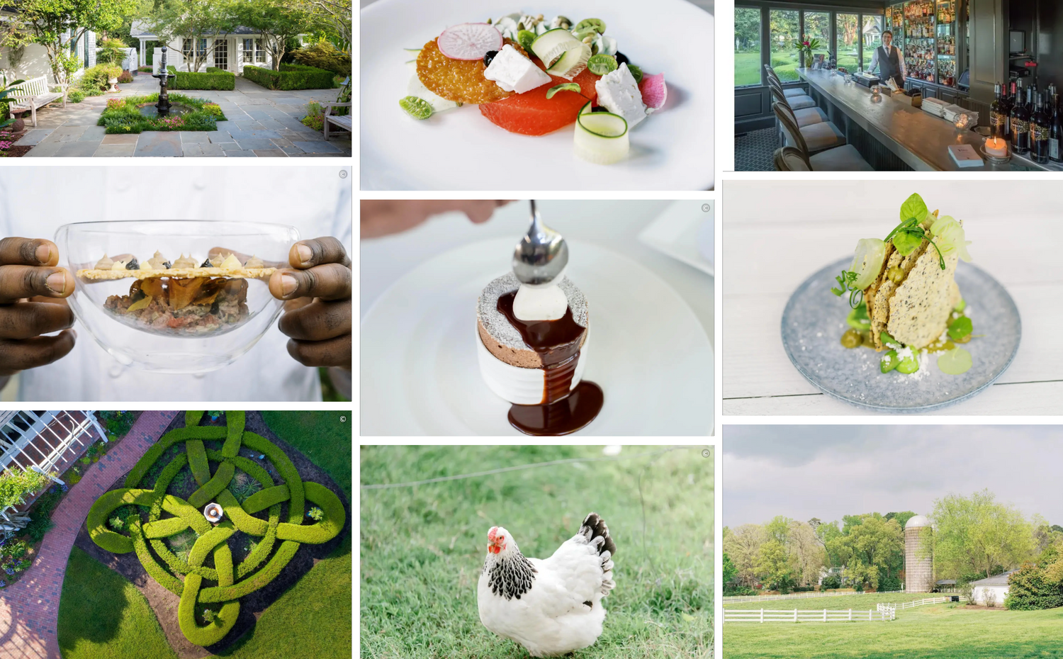 A collage showing: a landscaped garden, a fancy salad, a bar with stools, a chef presenting food, a dessert with chocolate sauce, a plated gourmet dish, an intricate topiary, a white hen outdoors, and a rural scene with a silo and trees.