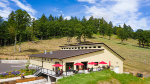 An older man with gray hair and glasses, in a red shirt and gray vest, smiles as he holds a small plant before shelves of greenery, capturing the inviting charm of a FEARRINGTON VILLAGE St. Innocent Wine Dinner.