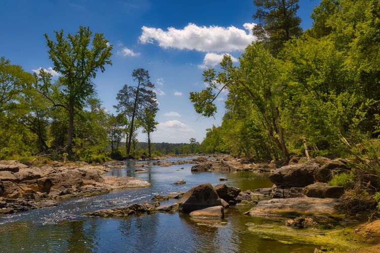 A clear river flows over rocks and boulders, surrounded by lush green trees under a bright blue sky with a few fluffy white clouds.