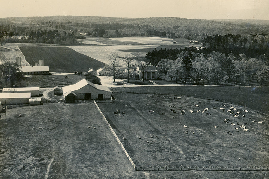 Aerial view of a rural farm landscape with barns, fenced pastures, grazing cows, and surrounding fields bordered by trees and distant hills under a clear sky.