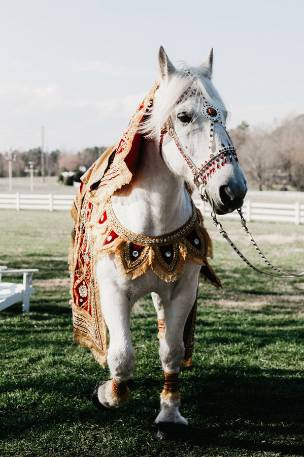 A white horse adorned in ornate, traditional Indian wedding attire with gold and red decorations stands on green grass near a white fence on a sunny day.