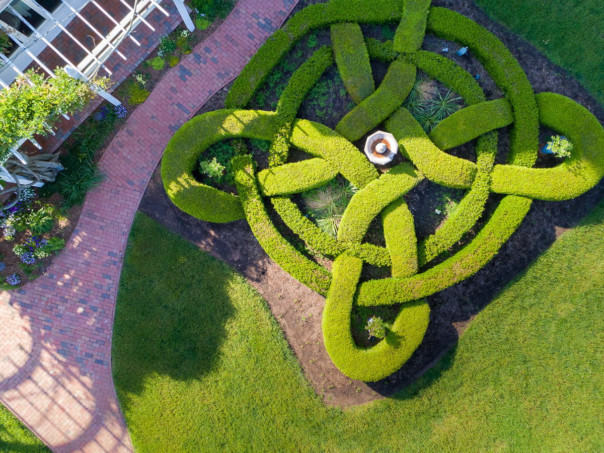 Aerial view of a person sitting at the center of an intricate, symmetrical hedge maze in a garden, with red brick pathways and a green lawn surrounding the area.