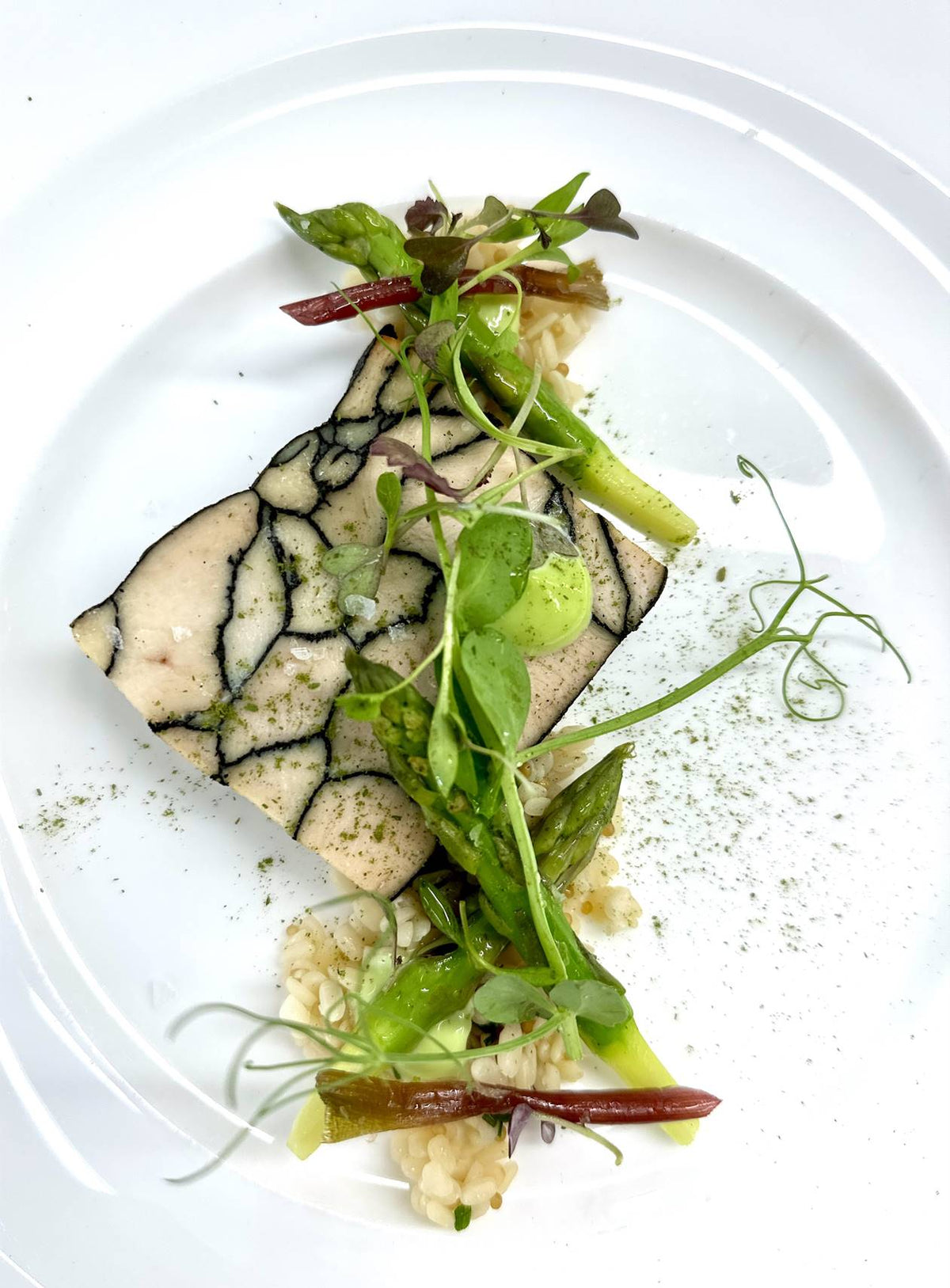 A gourmet dish featuring a piece of fish with a black-veined pattern, garnished with asparagus, leafy greens, microgreens, and small grains, artfully arranged on a white plate.