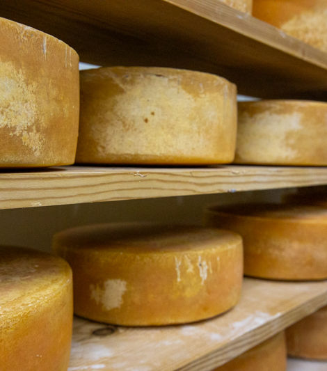 Round wheels of cheese aging on wooden shelves, arranged in rows and covered with a golden-yellow rind. The shelves are stacked, showing multiple layers of cheese in a storage or aging room.