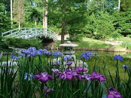 A tranquil Japanese garden with purple and blue irises in the foreground, a stone lantern, a small pond, lush greenery, and a white arched footbridge in the background.