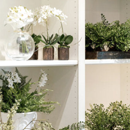 Shelves display various potted plants, including white orchids in a glass vase and small pots, alongside green ferns and leafy arrangements in different containers.