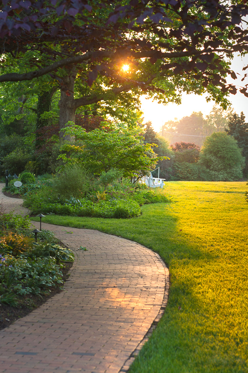 A winding brick path curves through a lush garden at sunset, with sunlight streaming through trees and casting a warm glow on green grass and foliage.
