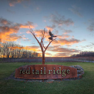 A metal sign reading "red tail ridge" with a tree and bird sculpture stands on grass at sunset—an inviting welcome to the Red Tail Ridge Wine Dinner by FEARRINGTON VILLAGE, perfect for a Finger Lakes wine experience.