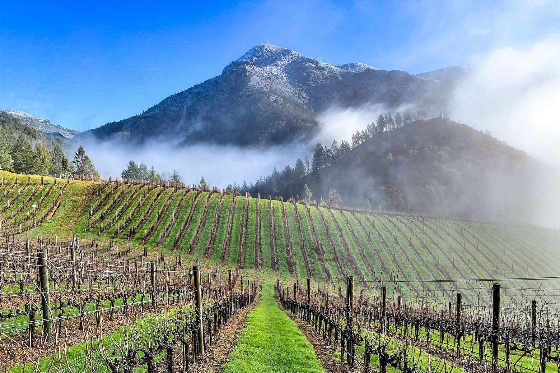 🍷 Last chance to reserve for our Peter Michael Wine Dinner next Thursday!