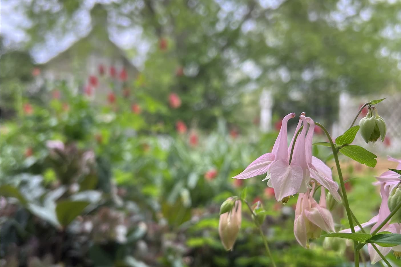 April in Fearrington Village