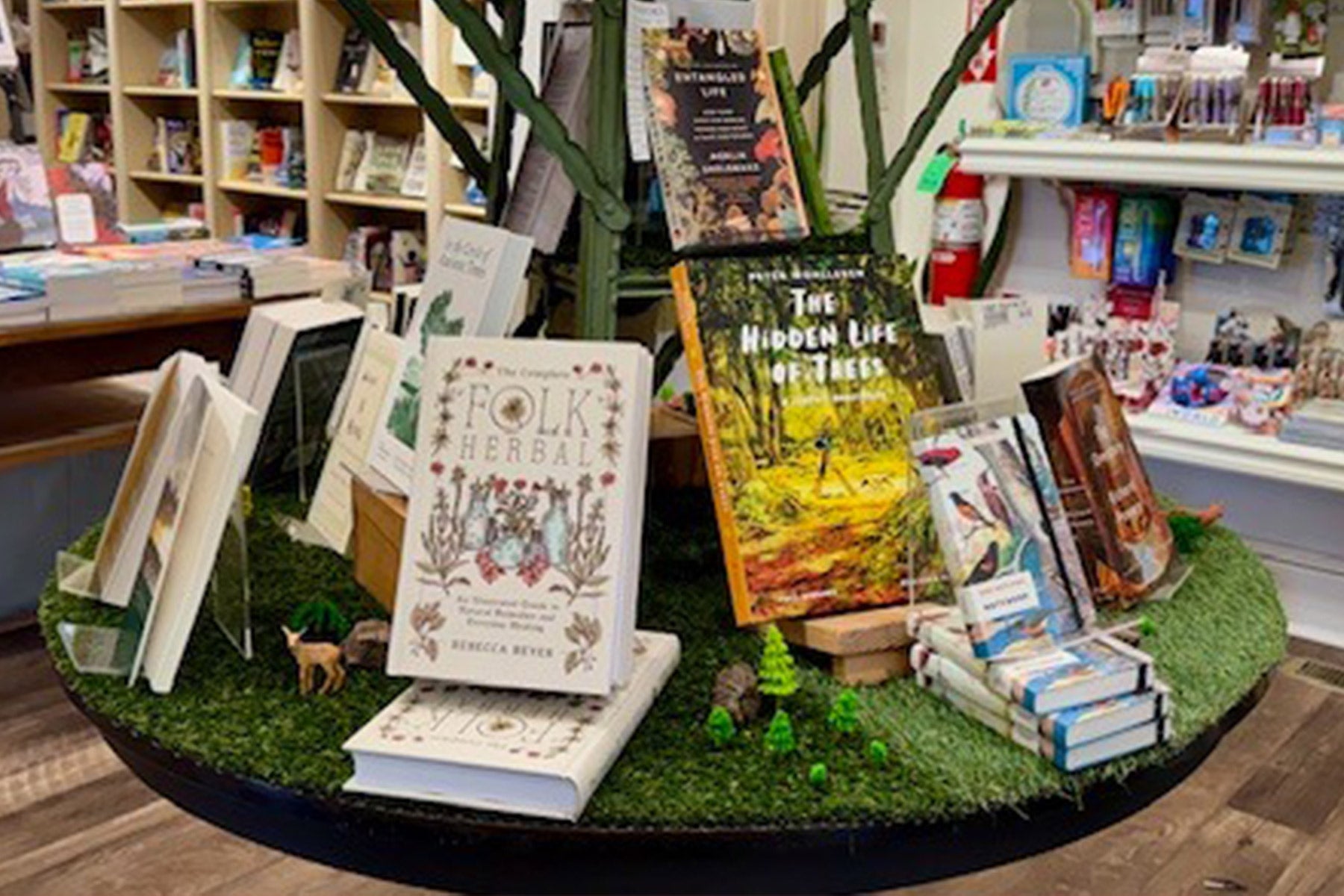 Gentle Reader, March 3, 2026