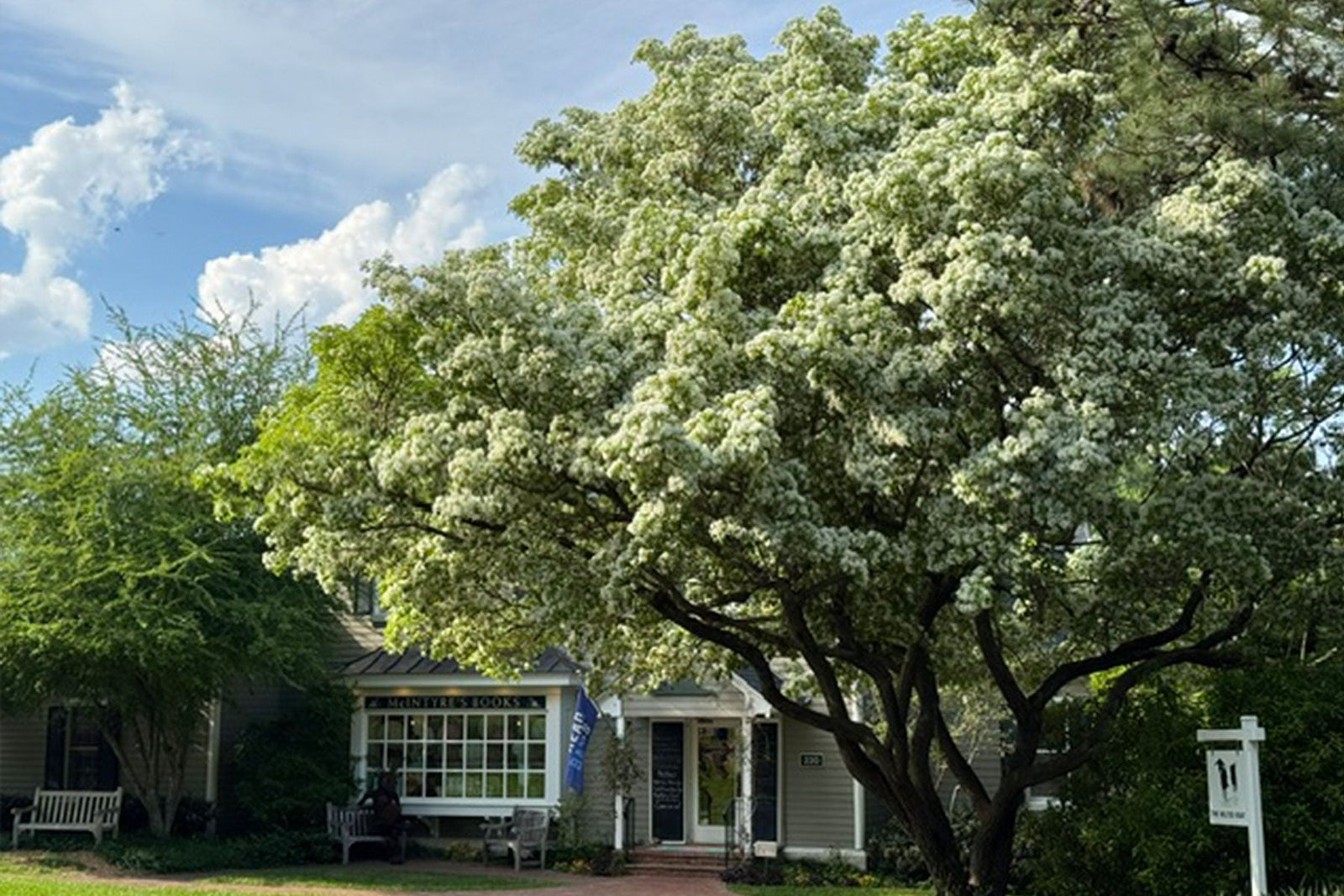 Gentle Reader, April 15, 2026