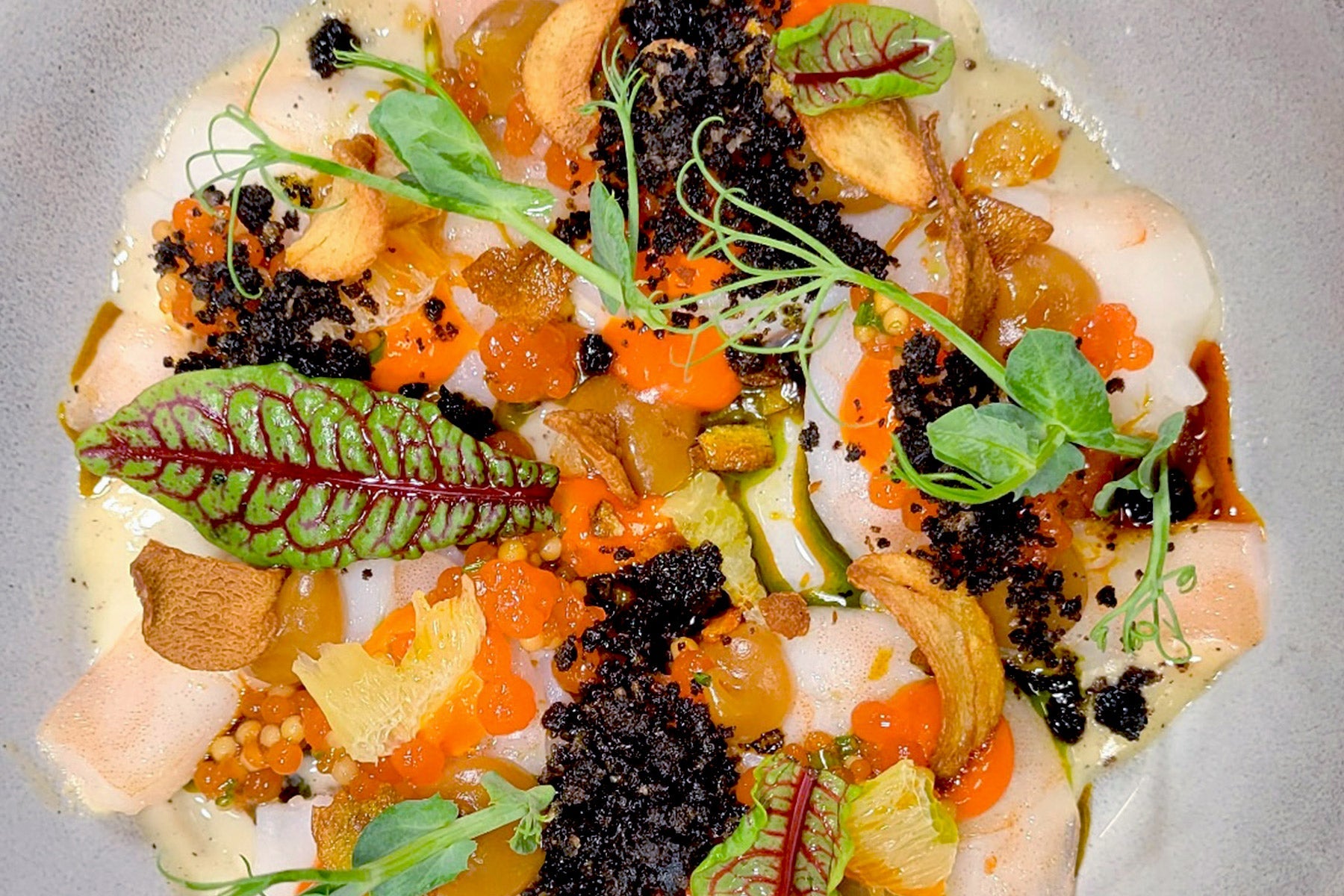 The Fearrington Plate – May 1, 2025