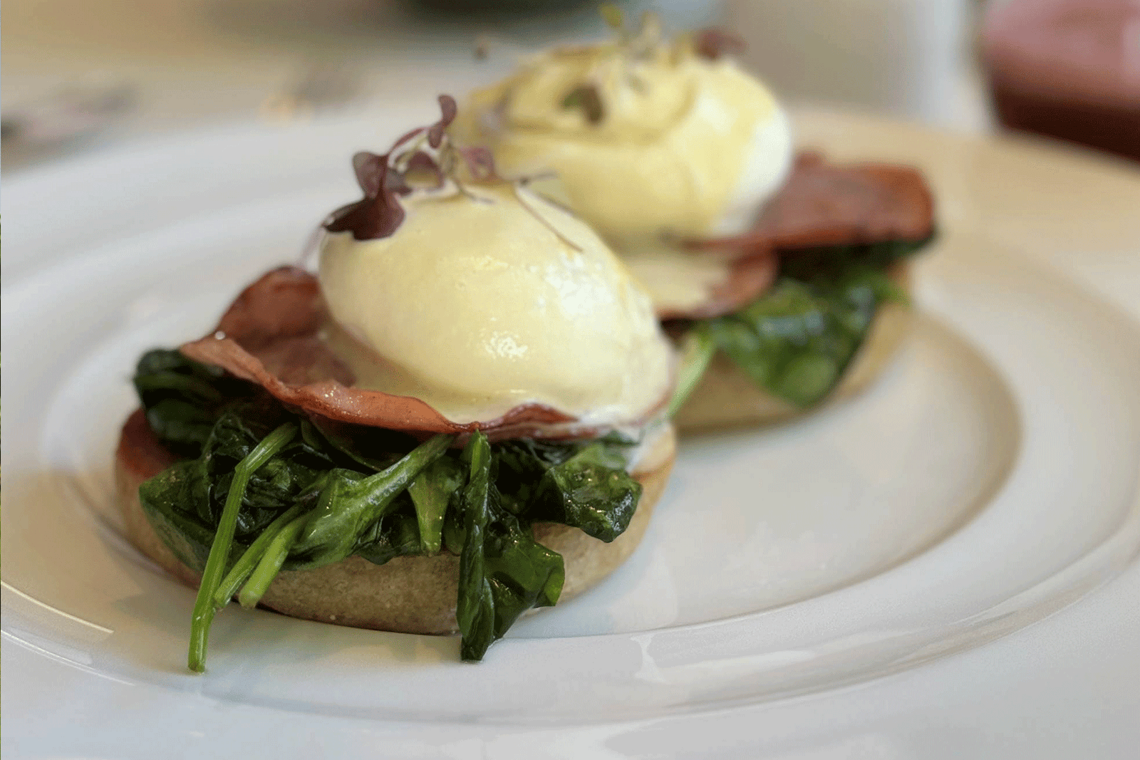 The Fearrington Plate – July 24 2025