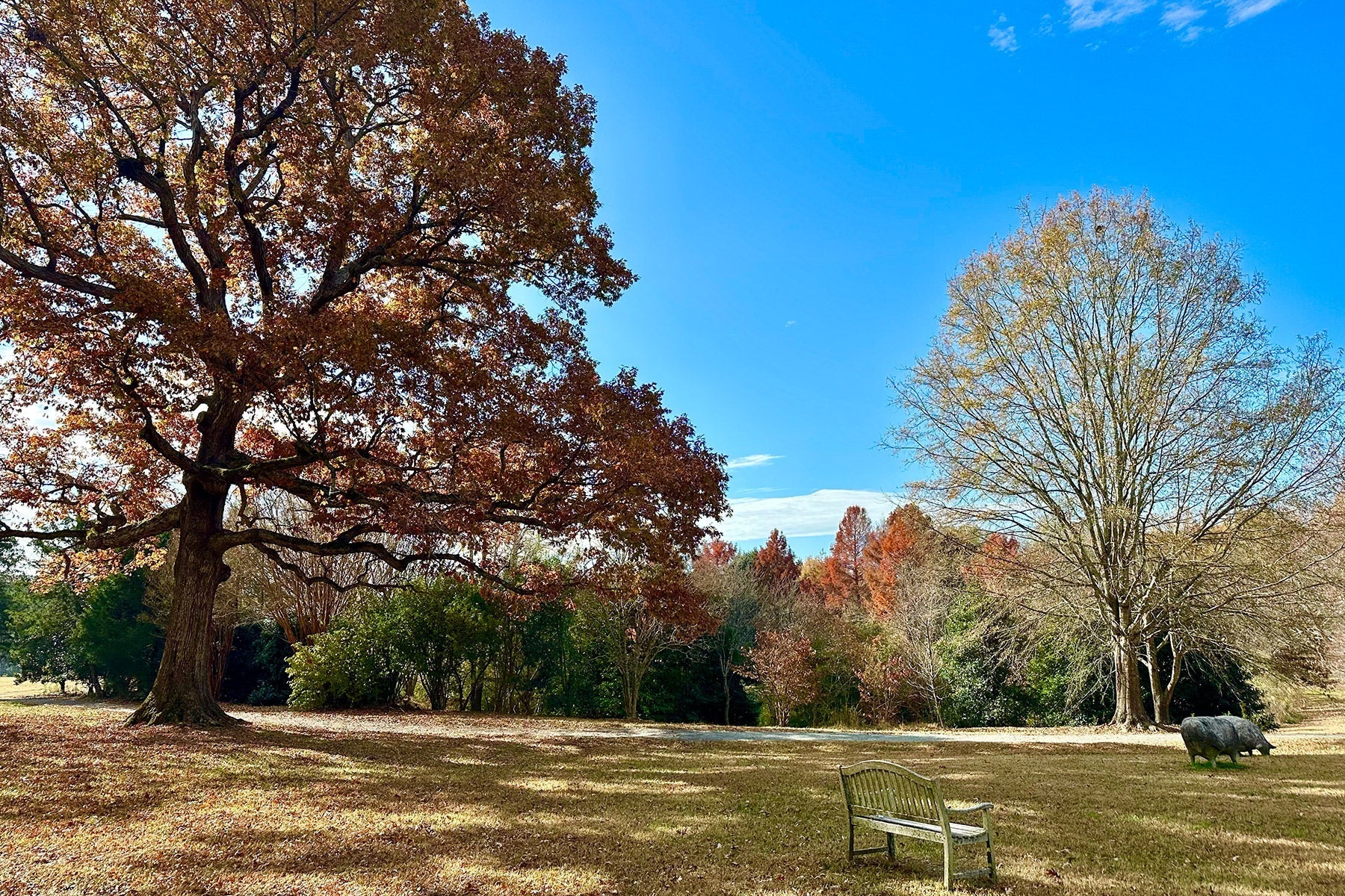 Connected Communities: The Social Harmony Between Fearrington Village and Galloway Ridge