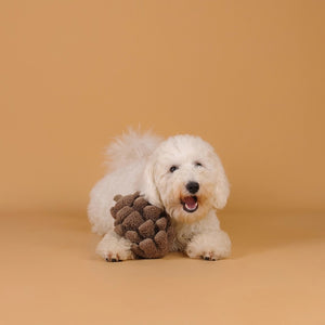 The CHEWFFON PINECONE SNUFFLE & CRINKLE DOG TOY is a plush dog toy shaped like a brown pine cone, featuring a textured surface and a small embroidered label. Designed to promote dental hygiene while keeping your pup entertained, it is photographed on a plain white background.