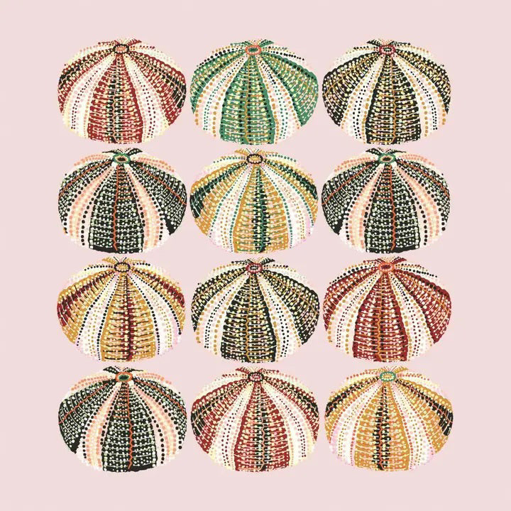 The URCHINS BEVERAGE NAPKINS by PAPER PRODUCTS DESIGN feature twelve uniquely patterned sea urchin shells, arranged in a 4x3 grid against a light pink background, showcasing shades of green, orange, pink, and brown. Made in Germany.