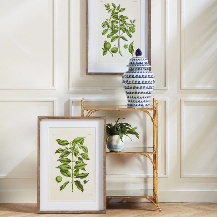 The NAPA HOME AND GARDEN - GUAVA PRINT features detailed botanical illustrations of green leafy plants with fruits and flowers on white backgrounds in simple wooden frames, ideal as elegant wall decor or for a home office.
