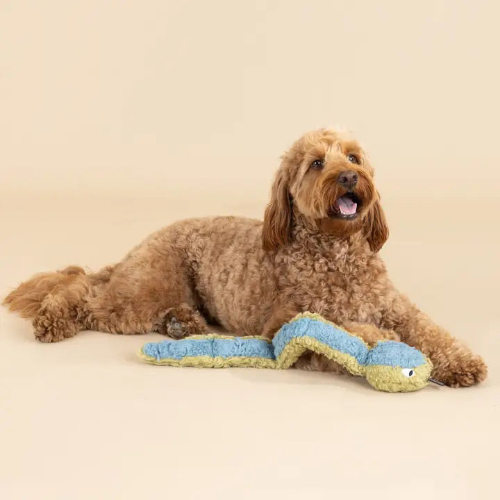 The FRINGE STUDIO - DON'T GET WRAPPED UP DOG TOY by PET SHOP BY FRINGE STUDIO is a long plush snake toy with labeled features: "Crazy Crinkle Paper" in the head, "Super Loud Squeaker" in the body, "Recycled Water Bottle Fill" in the tail, and made from "Soy Faux Fur" material. This eco-friendly dog toy is green with blue accents.