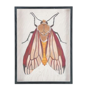 The CREATIVE COOP FRAMED ACRYLIC WALL ART, MOTHS features a vibrant moth with red and yellow wings, a yellow segmented body, and feathery antennae on a light background—ideal for botanical-themed décor.