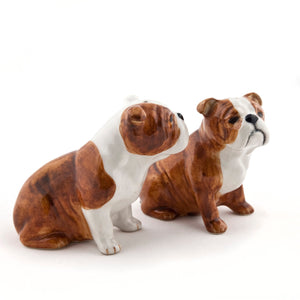 The QUAIL DESIGNS QUAIL CERAMICS English Bulldog Salt and Pepper Set features two handpainted stoneware shakers with detailed, serious expressions. Dishwasher safe for easy cleaning.
