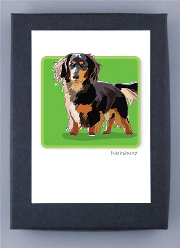 The PAPER RUSSELS - LONGHAIR DACHSHUND BOX NOTES by PAPER RUSSELLS features a beautifully printed illustration of a black dachshund with tan and white markings, standing on a green background. The print is on FSC certified recycled paper.