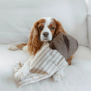A fluffy brown dog is lounging on a soft, light-colored couch with its front paws resting on a brown pillow and its favorite LAMBWOLF COLLECTIVE - RYE DOG TOY nearby. The dog looks relaxed and content in a cozy, neutral-toned setting.