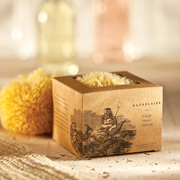 A natural BAUDELAIRE bath sea sponge from the “BATH SEA SPONGE GIFT BOX, SMALL” rests beside a brown box featuring an illustrated figure and the product label. Another sustainable bath sponge from BAUDELAIRE is partially visible inside the box.