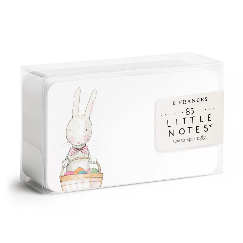 A clear plastic box contains 85 E. FRANCES PAPER - PETER RABBIT LITTLE NOTES. Each notecard features a Peter Rabbit-like illustration with a pink bow-tied white rabbit holding a basket of colorful eggs, under the label "E. Frances 85 Little Notes use unsparingly.