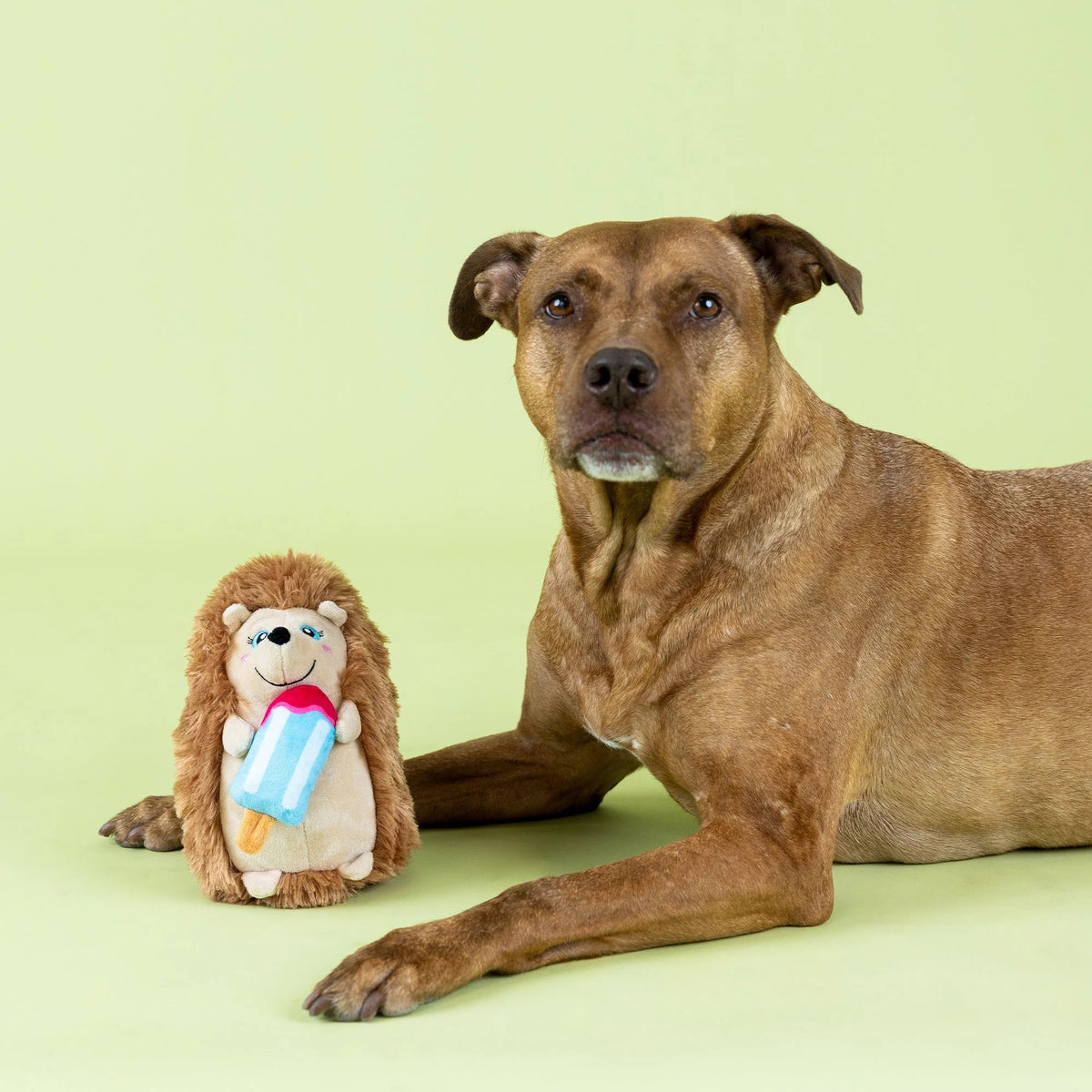 Bring extra fun to playtime with the PET SHOP BY FRINGE STUDIO "Be Cool, Be Hedgy" Plush Dog Toy—a plush hedgehog with soft brown fur, a cheerful smile, and a vibrant blue and pink popsicle. This adorable dog toy also features crinkle material inside for added excitement during play.