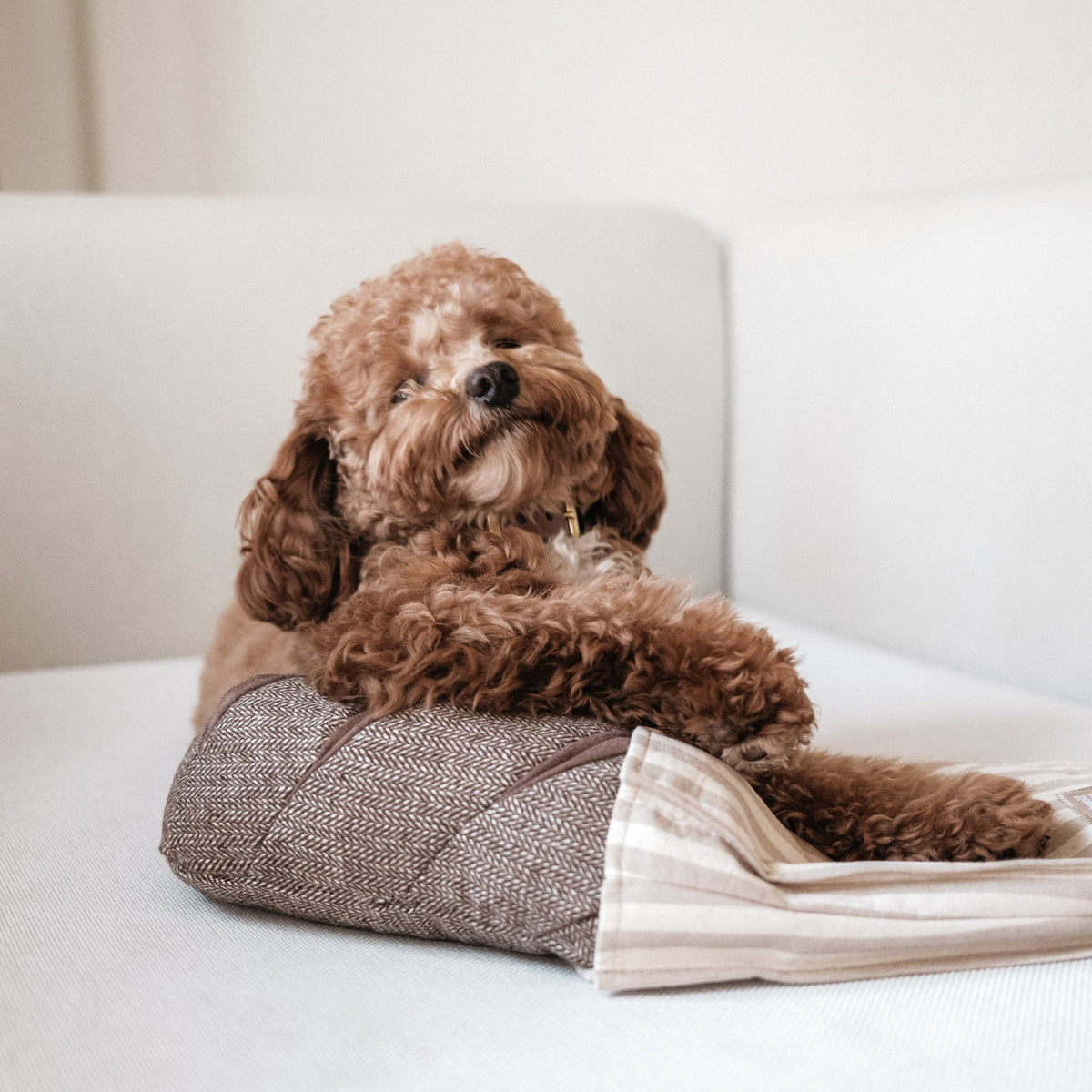 The LAMBWOLF COLLECTIVE - RYE DOG TOY by LAMBWOLF COLLECTIVE is a plush toy shaped like a loaf of bread with three slits on top, cleverly designed as a treat-hiding toy, and shown here resting on a beige and white striped cloth.