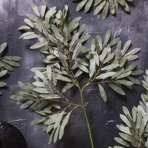 The ABIGAIL AHERN - WILLOW SOFT GREEN features multiple soft green, oval leaves on slender stems, ideal for flower arrangements or mixing with faux foliage, isolated on a white background.