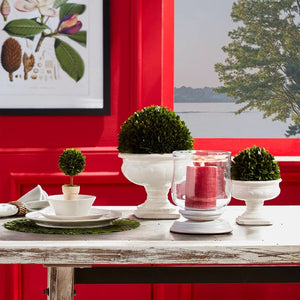 A rustic white table features dishes and NAPA HOME AND GARDEN - BOXWOOD BALL 8 topiaries in white pots, a small topiary, and a glass hurricane lantern with a red candle. Ideal for indoor settings, overlooking a lake through a red-framed window.
