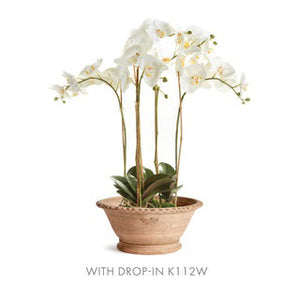 The NAPA HOME AND GARDEN - WAKEFIELD ALVENA FORCING POT is a wide, shallow terracotta pot with a flared rim, beaded edge, unglazed finish, small round base, and an embossed logo—ideal for amaryllis or forcing bulbs.