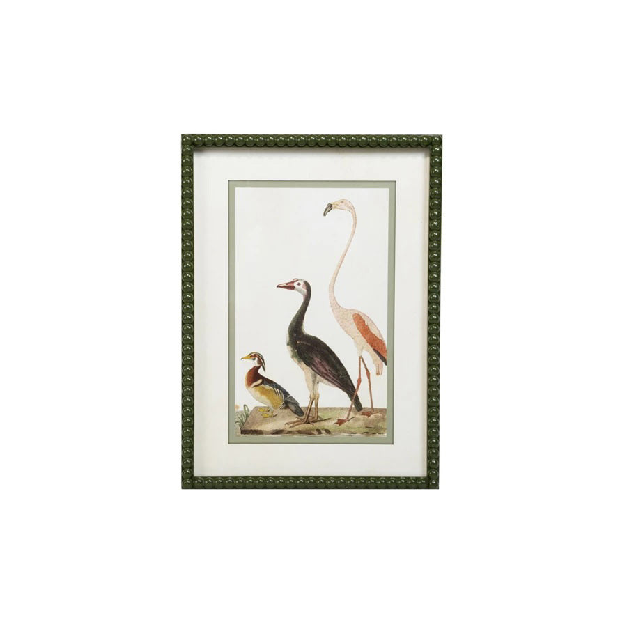 The CREATIVE COOP VINTAGE BIRD REPRODUCTION features framed illustrations of a flamingo, crane, toucan, and more—beautiful wall decor with a green bobbin frame and white background, perfect for any room.