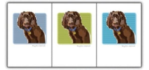 PAPER RUSSELLS - BOYKIN SPANIEL BOX NOTES features a framed illustration of a brown dog with long, wavy ears and a blue collar with yellow tag, on a light blue striped background. Printed on FSC certified recycled paper in the USA.