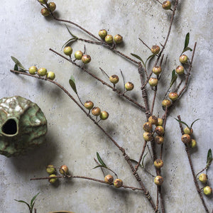 The ABIGAIL AHERN - ROSEHIP DAPPLED is a single artificial stem with small brownish-yellow berries and green leaves on slender, woody stems, perfect for adding a natural touch to your decor.