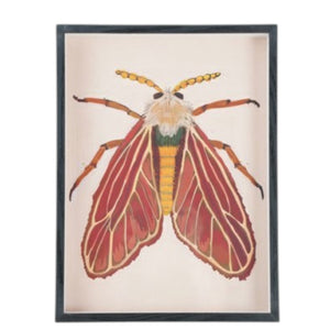The CREATIVE COOP FRAMED ACRYLIC WALL ART, MOTHS features a vibrant moth with red and yellow wings, a yellow segmented body, and feathery antennae on a light background—ideal for botanical-themed décor.