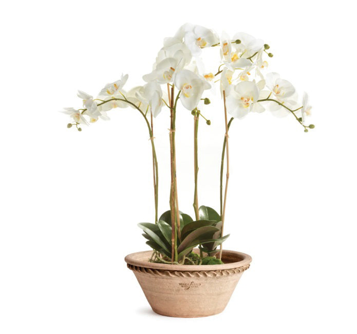 The NAPA HOME AND GARDEN - WAKEFIELD HENLEY FORCING POT is a round, shallow terracotta pot with a flared rim, rope-like edge detail, rough natural finish, and “Wakefield Handmade” stamped on the side.