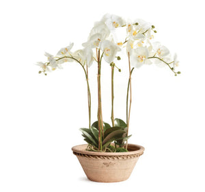 The NAPA HOME AND GARDEN - WAKEFIELD HENLEY FORCING POT is a round, shallow terracotta pot with a flared rim, rope-like edge detail, rough natural finish, and “Wakefield Handmade” stamped on the side.