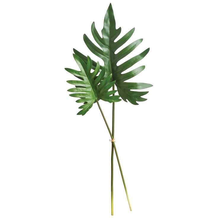 The NAPA HOME AND GARDEN - SPLIT LEAF SELLOUM STEM SMALL offers two green leaves with long stems, serrated edges, and a glossy texture on a white background, tied with a small band, ideal for realistic home decor in curated contemporary settings.