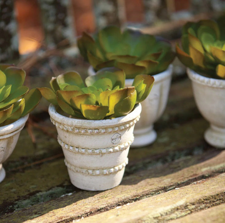 Six cream-colored WAKEFIELD MINI POTS by NAPA HOME AND GARDEN, each handmade with subtle green hues and unique embossed designs, are arranged in two rows against a white background. Made in Honduras.