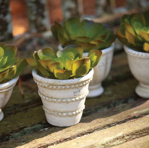 Six cream-colored WAKEFIELD MINI POTS by NAPA HOME AND GARDEN, each handmade with subtle green hues and unique embossed designs, are arranged in two rows against a white background. Made in Honduras.